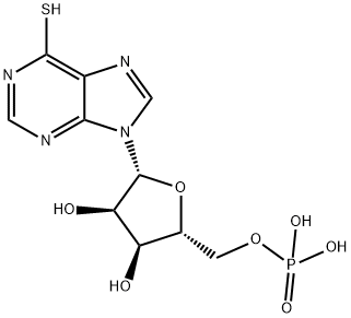 6-Mercaptopurine Ribonucleoside 5'-Phosphate,6-Mercaptopurine Ribonucleotide