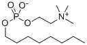 O-(OCTYLPHOSPHORYL)CHOLINE SOLUTION