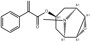 APOHYOSCINE Structural