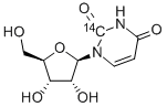 URIDINE-2-14C Structural