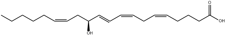 12(S)-HETE Structural