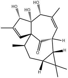 20-DEOXYINGENOL