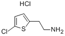 2-(5-CHLOROTHIOPHEN-2-YL)ETHANAMINE HYDROCHLORIDE