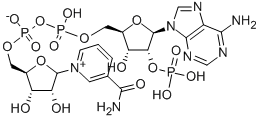 BETA-NAADP SODIUM SALT