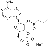 55443-13-5 structural image