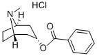 ENDO-TROPACOCAINE (8-METHYL-8-AZABICYCLO[3.2.1]OCT-3-YL) BENZOATE HCL
