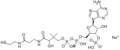 COENZYME A SODIUM SALT Structural