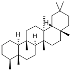 FRIEDELANE Structural