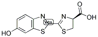 D-LUCIFERIN