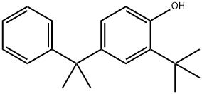 2-(1,1-dimethylethyl)-4-(1-methyl-1-phenylethyl)phenol Structural