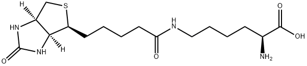 Biocytin