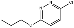 3-CHLORO-6-PROPYLOXYPYRIDAZINE Structural