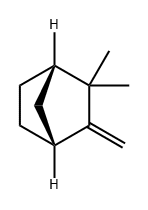 (-)-CAMPHENE Structural