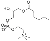 L-ALPHA-LYSOPHOSPHATIDYLCHOLINE, CAPROYL