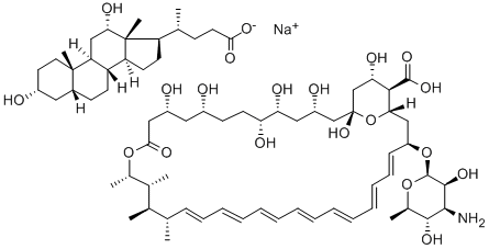 Amphotericin B-deoxycholate Structural