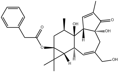 12-DEOXYPHORBOL 13-PHENYLACETATE