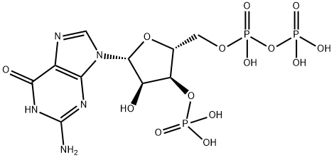 guanosine 5'-diphosphate-3'-monophosphate Structural