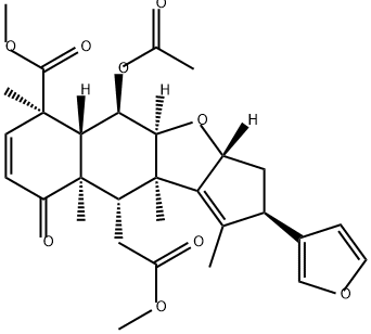 NIMBIN Structural