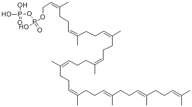 solanesyl pyrophosphate