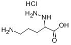 5-AMINO-2-HYDRAZINOPENTANOIC ACID HYDROCHLORIDE