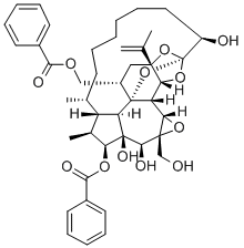 60796-70-5 structural image