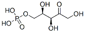 xylulose-5-phosphate Structural