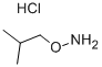 O-ISOBUTYLHYDROXYLAMINE HYDROCHLORIDE