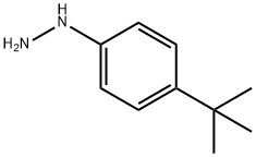 4-TERT-BUTYL-PHENYL-HYDRAZINE