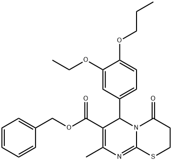 SALOR-INT L437875-1EA