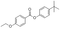 SALOR-INT L448095-1EA