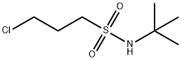 3-CHLORO-PROPANE-1-SULFONIC ACID TERT-BUTYLAMIDE