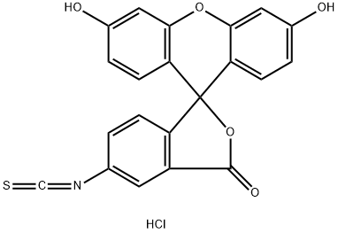 FLUORESCEIN ISOTHIOCYANATE I HYDROCHLORIDE