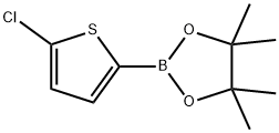 5-CHLOROTHIOPHENE-2-BORONIC ACID PINACOL ESTER