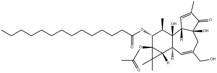 4ALPHA-PHORBOL 12-MYRISTATE 13-ACETATE