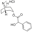 HOMATROPINE HYDROCHLORIDE Structural