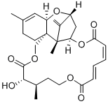 VERRUCARINK