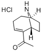 (+)-ANATOXIN A HYDROCHLORIDE