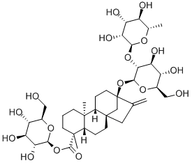 DULCOSIDEA Structural