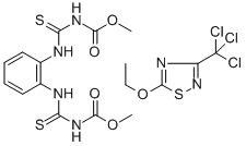 Banrot Structural