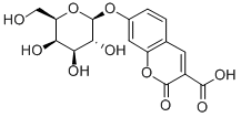 CUG Structural