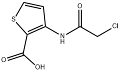 3-[(2-CHLOROACETYL)AMINO]THIOPHENE-2-CARBOXYLIC ACID Structural