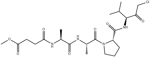 MEOSUC-ALA-ALA-PRO-VAL-CHLOROMETHYLKETONE