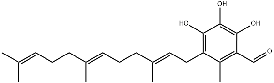 SCUTIGERAL Structural