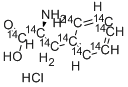 L-PHENYLALANINE-UL-14C Structural