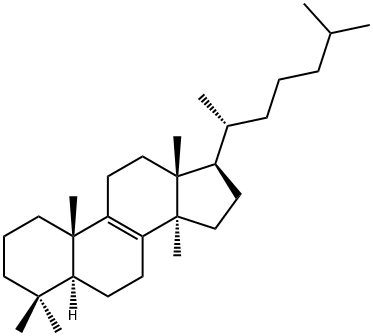 Lanost-8-ene Structural