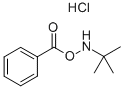 O-Benzoyl-N-tert-butylhydroxylamine Hydrochloride