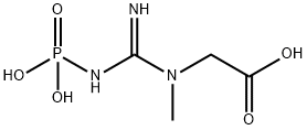 Creatine phosphate Structural