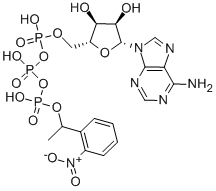 1-(2-NITROPHENYL)ETHYL ADENOSINE TRIPHOSPHATE