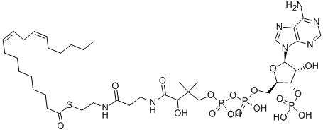 LINOLEOYL COENZYME A Structural