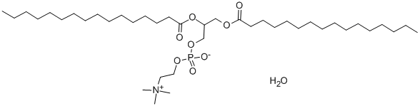 rac-1,2-dipalmitoyl-glycero-3-phosphocholine monohydrate